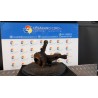 MONTANTE SOSP. ANT. DX. 011 RENAULT CLIO 3A SERIE (07/05-05/09) D4FD7 8200345945
