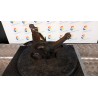 MONTANTE SOSP. ANT. DX. 024 FIAT PANDA (2Q) (09/03-12/10) 188A4000 51857220