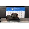 AMMORTIZZATORE ANT. EV2 DX. 036 KIA NIRO HEV (09/16-04/21) G4LE 54661G5400