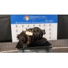 AMMORTIZZATORE ANT. EV2 SX. 037 KIA NIRO HEV (09/16-04/21) G4LE 54651G5400