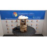 POMPA CARBURANTE C/TRASDUTTORE (GALLEGGIANTE) 089 NISSAN QASHQAI (J10E/JJ10E) (09/10-09 K9K 17040JD51D