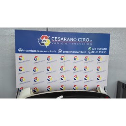 PARAURTI POST. C/SENS.PARCHEGGIO 031 NISSAN QASHQAI (J10E/JJ10E) (09/10-09 K9K 85022BR10H