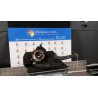 MONTANTE SOSP. ANT. DX. 015 ALFA ROMEO 147 (W8) (10/04-07/11) AR37203 60624976
