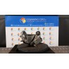 BRACCIO OSCILLANTE SUP. SOSP. ANT. DX. 020 ALFA ROMEO GT (X2) (12/03-03/11) 937A1000 51834094