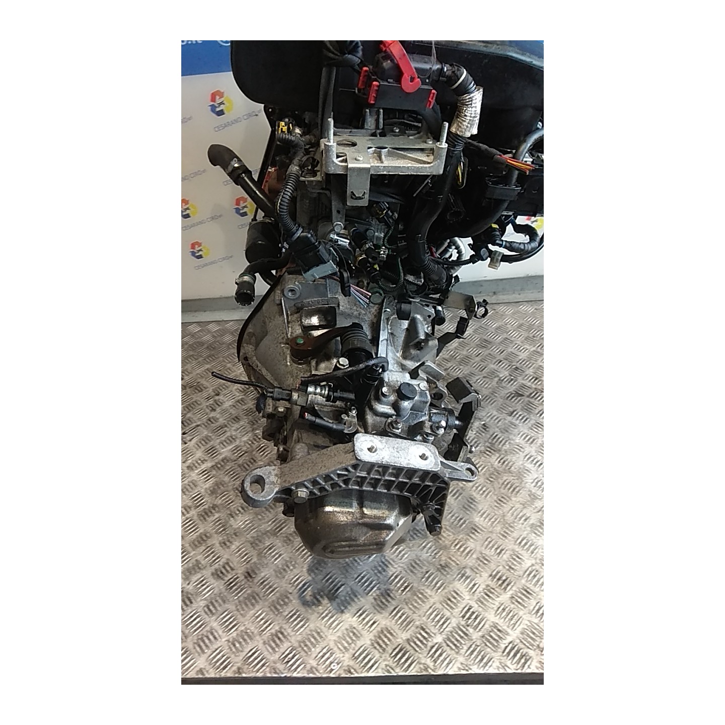 CAMBIO COMPL. 004 FIAT PUNTO EVO (3J) (08/09-07/13) 350A1000 55265949