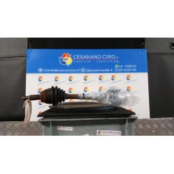 SEMIALBERO ANT. COMPL. SX. 034 FORD FIESTA (CBK) (12/05-12/08)  1493223