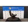 MONTANTE SOSP. ANT. C/CUSCINETTO DX. 035 FORD FIESTA (CBK) (12/05-12/08)  1474308