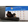 MONTANTE SOSP. ANT. C/CUSCINETTO/MOZZO SX. 049 CITROEN C3 PICASSO (02/09-02/18) 8FS 364690