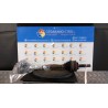 SEMIALBERO ANT. COMPL. SX. 032 RENAULT CLIO 2A SERIE (05/01-11/10) D7FG7 8200236092