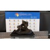MONTANTE SOSP. ANT. SX. 005 RENAULT SCENIC 3A SERIE (04/09-10/13) K9KJ8 400150083R