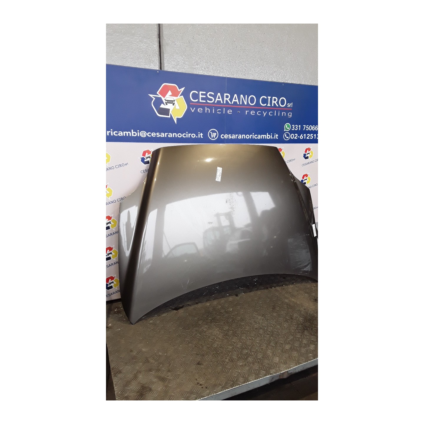 COFANO ANT. 025 FIAT CROMA (2T) (10/07-12/11) 939A1000 51803276
