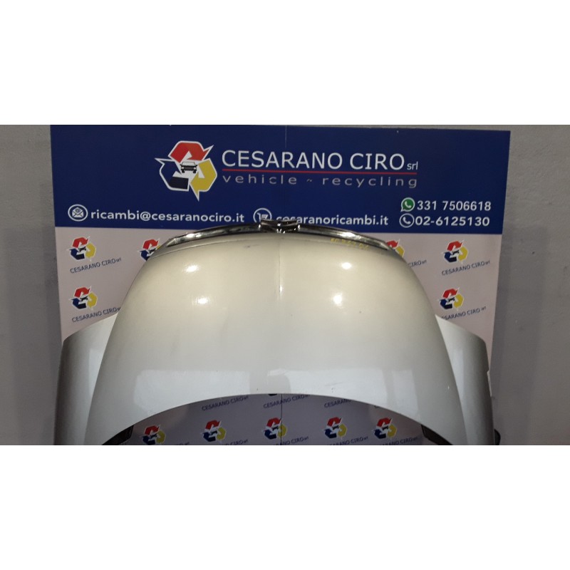 COFANO ANT. 034 CITROEN C8 (08/02-) RH02 7901N3