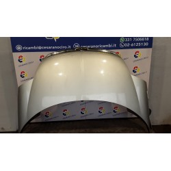 COFANO ANT. 034 CITROEN C8 (08/02-) RH02 7901N3