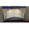 COFANO ANT. 034 CITROEN C8 (08/02-) RH02 7901N3