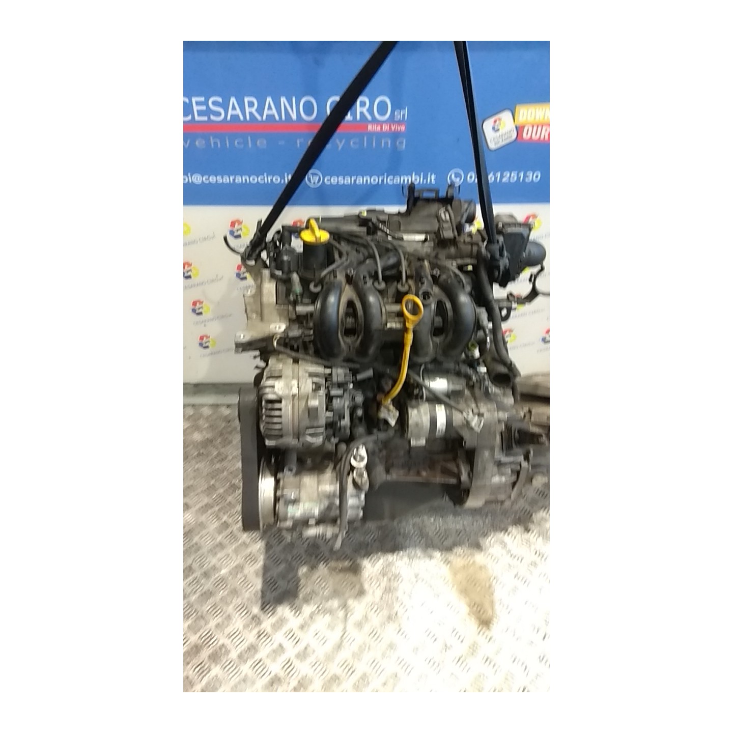 MOTORE COMPL. 037 RENAULT TWINGO 2A SERIE (06/07-02/12) D7FA8 7701477952