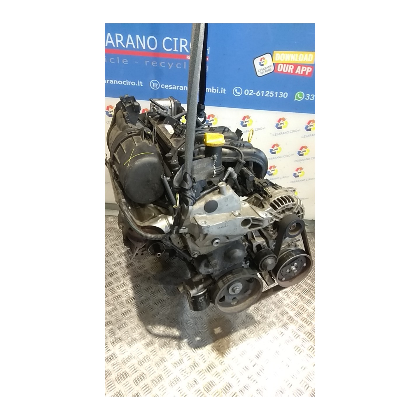 MOTORE COMPL. 037 RENAULT TWINGO 2A SERIE (06/07-02/12) D7FA8 7701477952