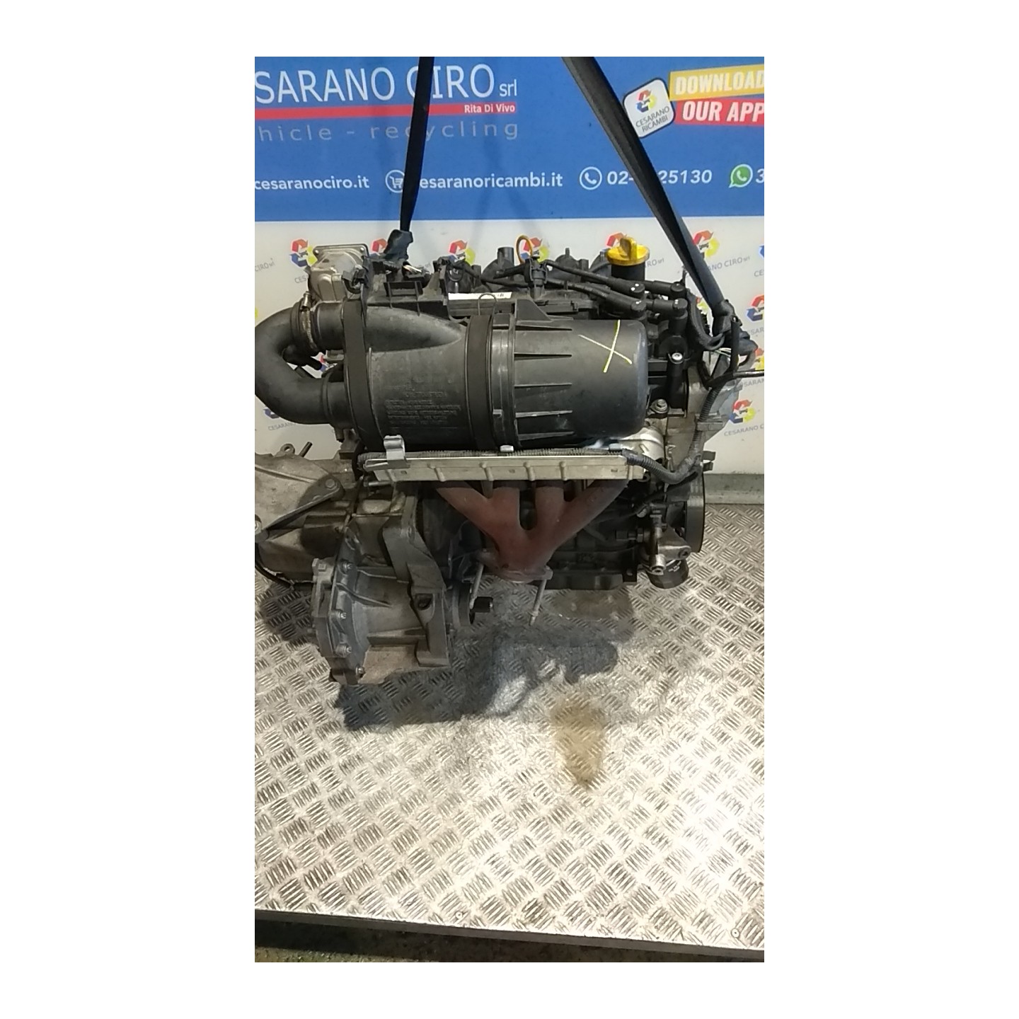MOTORE COMPL. 037 RENAULT TWINGO 2A SERIE (06/07-02/12) D7FA8 7701477952