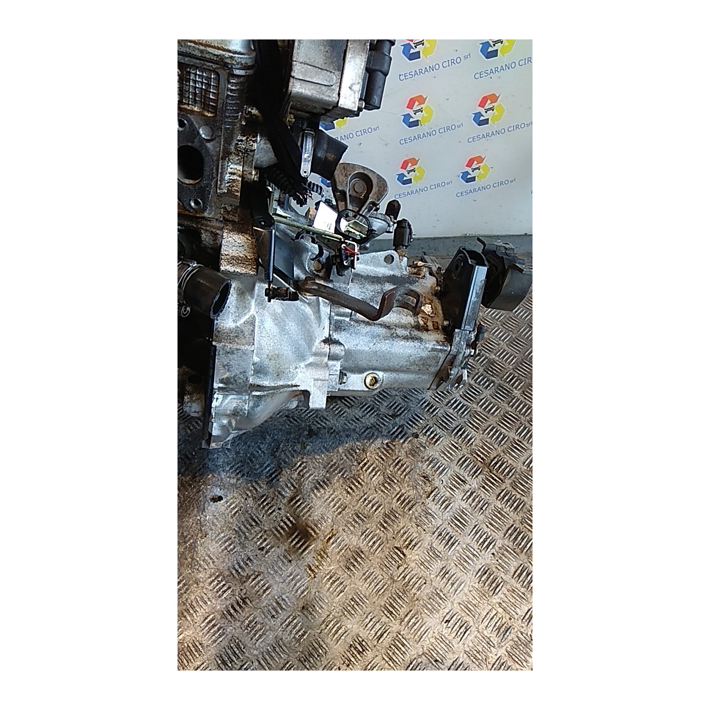 CAMBIO COMPL. 105 FIAT SEICENTO (1E) (02/98-07/05) 187A1000 55183059