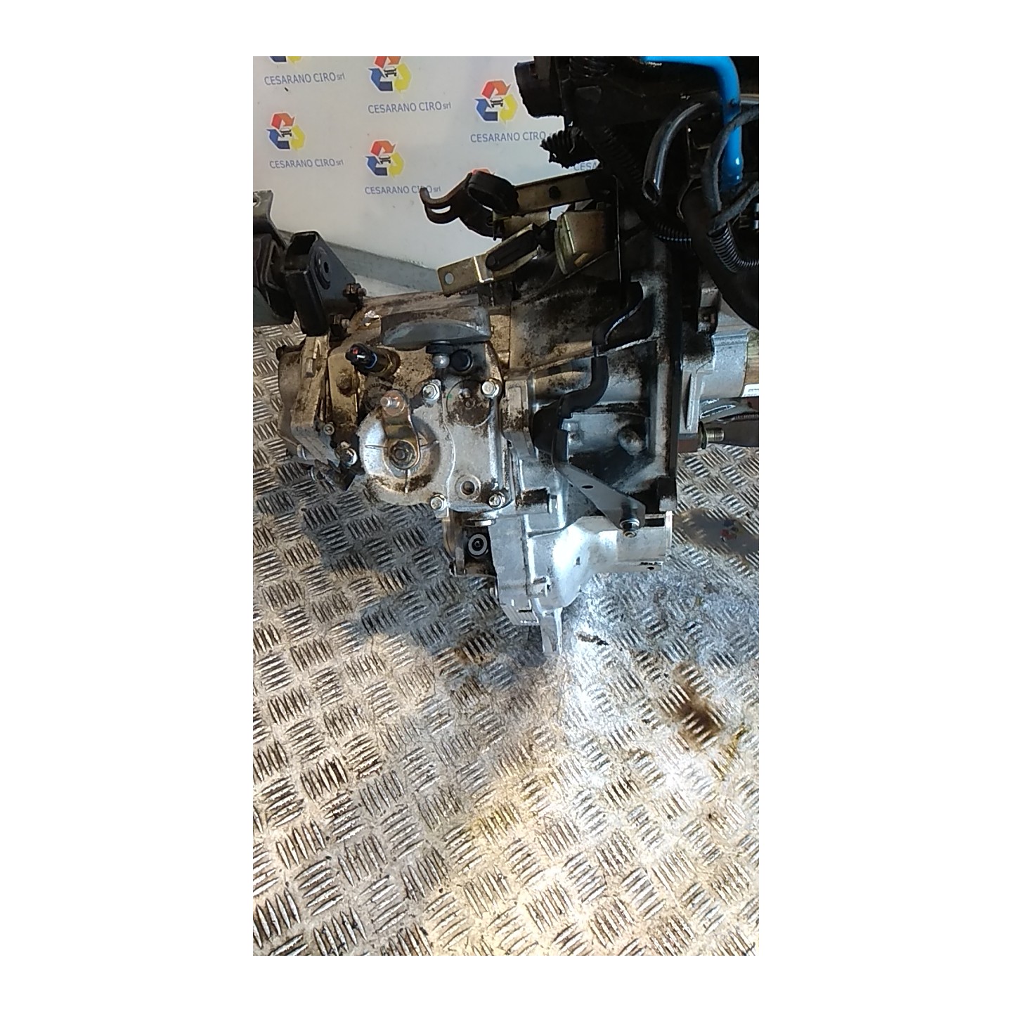 CAMBIO COMPL. 105 FIAT SEICENTO (1E) (02/98-07/05) 187A1000 55183059