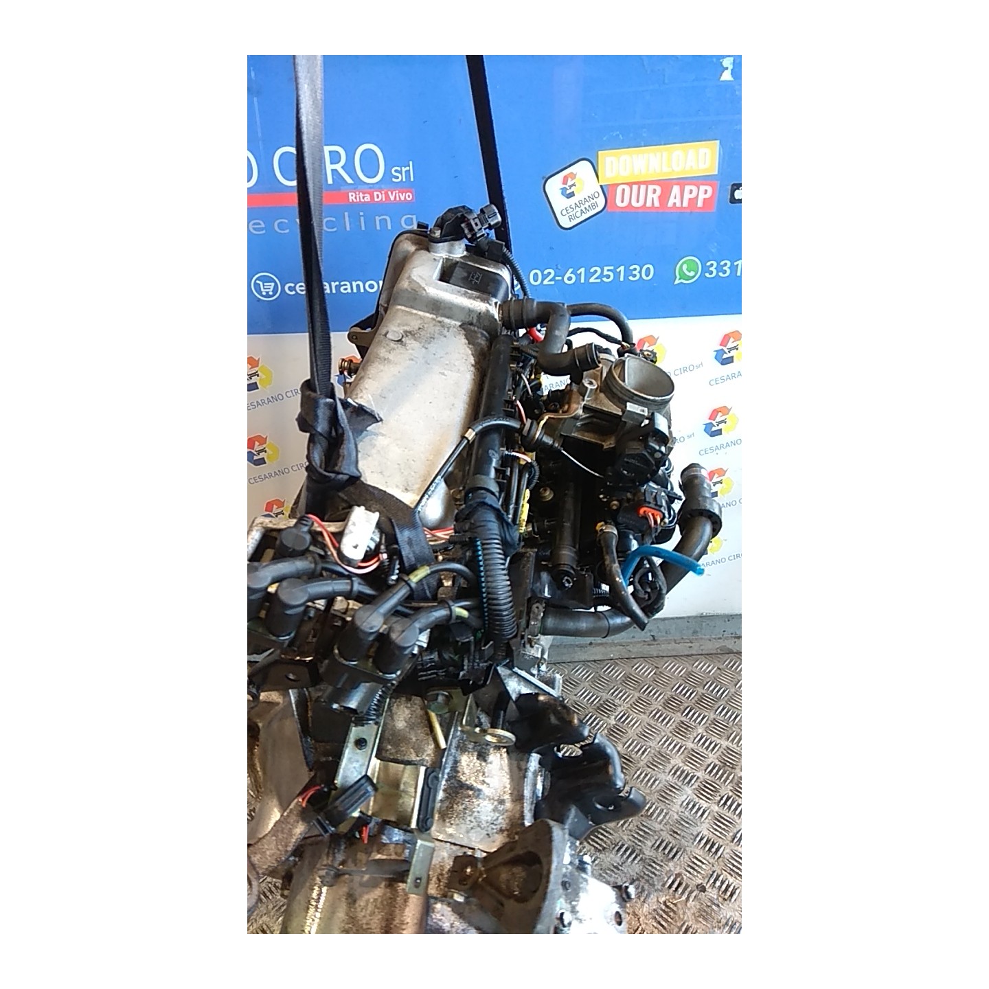 MOTORE SEMICOMPL. 106 FIAT SEICENTO (1E) (02/98-07/05) 187A1000 71718388