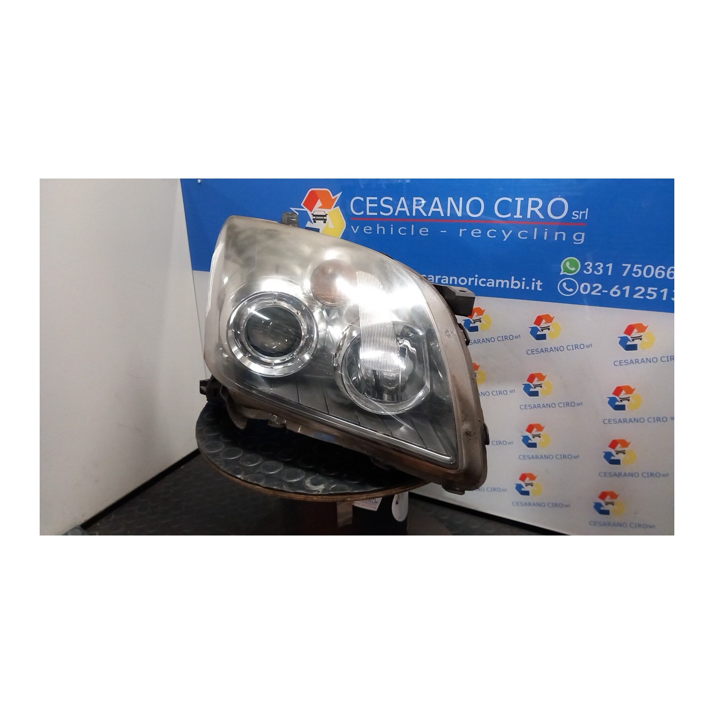 PROIETTORE DX. 029 TOYOTA AVENSIS (04/03-04/09) 1ADFTV 8113005191