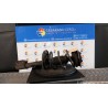 AMMORTIZZATORE ANT. DX. 067 RENAULT CLIO 3A SERIE (05/09-) D4FL7 8200676024