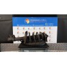AMMORTIZZATORE ANT. DX. 103 KIA CARENS 3A SERIE (04/13-01/17) D4FD 54660A4052