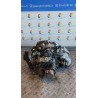 CAMBIO AUTOMATICO 024 OPEL CORSA (X01) (10/00-06/06) Z12XE NB4918016023014