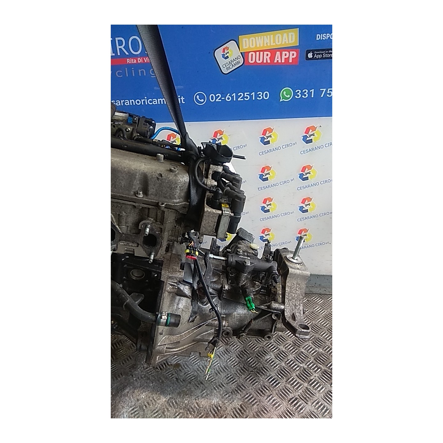 CAMBIO COMPL. 009 LANCIA YPSILON (TI) (12/08-06/13) 188A4000 55205237