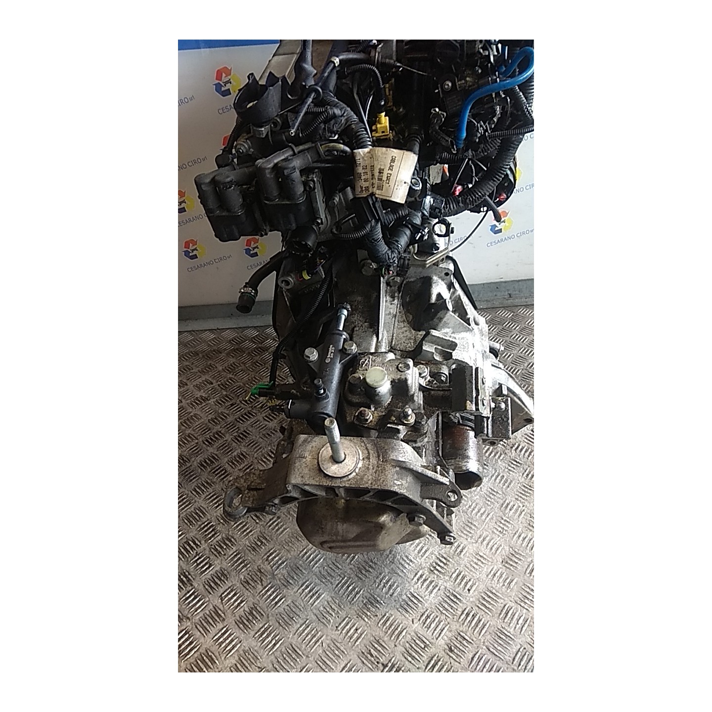 CAMBIO COMPL. 009 LANCIA YPSILON (TI) (12/08-06/13) 188A4000 55205237