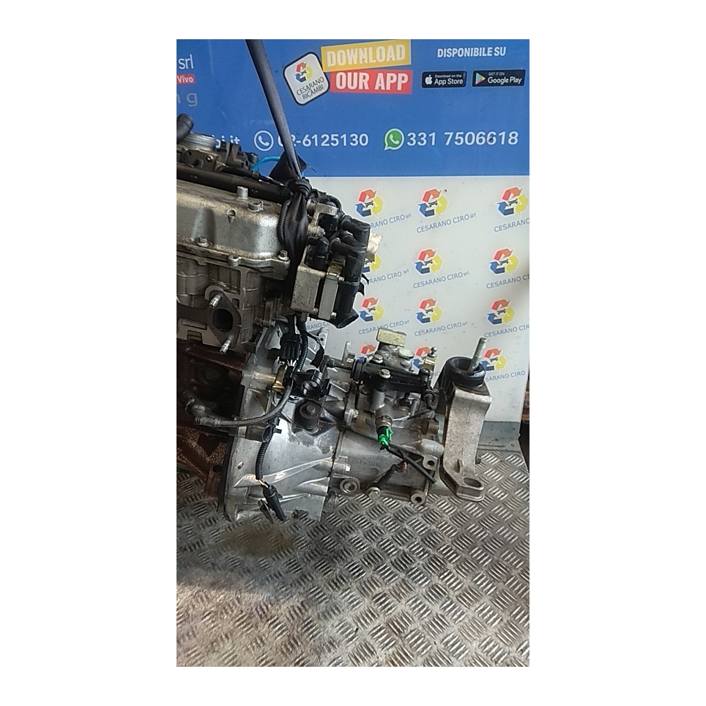 CAMBIO COMPL. 011 LANCIA YPSILON (TI) (12/08-06/13) 188A4000 55205237