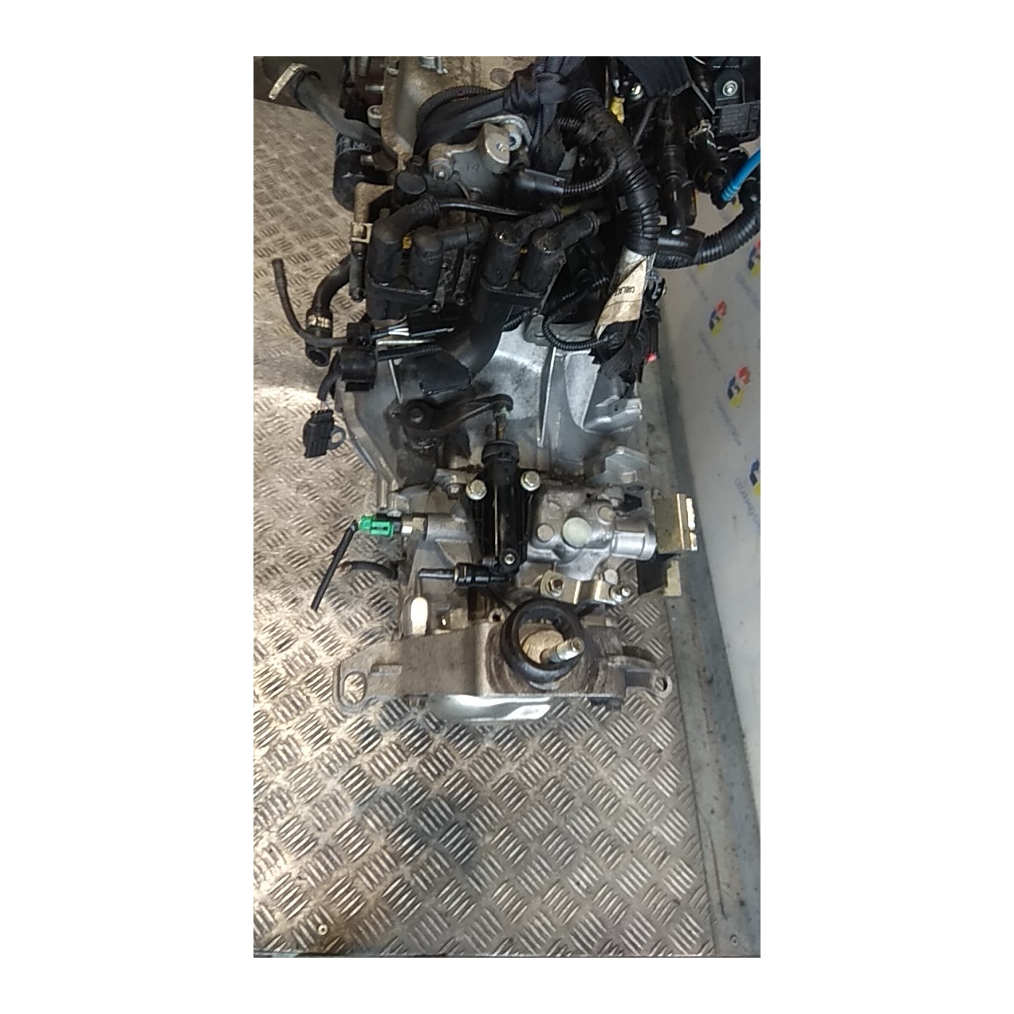 CAMBIO COMPL. 011 LANCIA YPSILON (TI) (12/08-06/13) 188A4000 55205237
