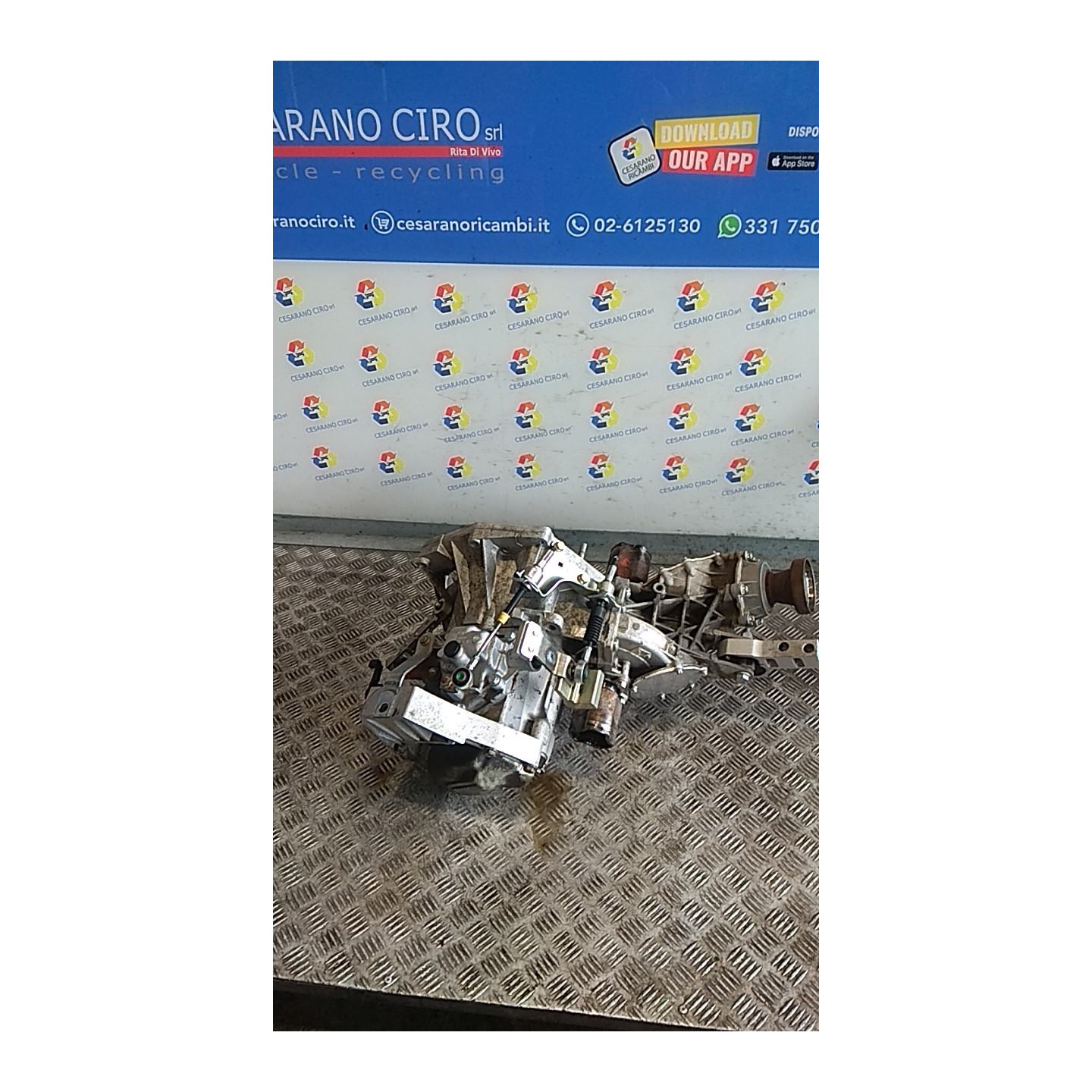 CAMBIO COMPL. 033 FIAT PANDA (2Q) (09/03-12/10) 188A4000 55247486