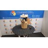 POMPA CARBURANTE 059 OPEL CORSA (S07) (07/06-02/11) A12XER 13327783