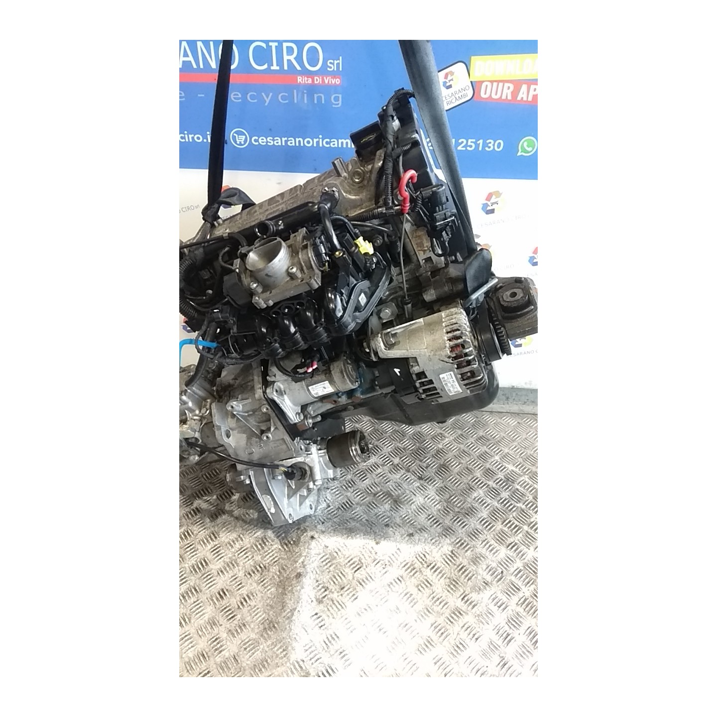 MOTORE COMPL. 056 FIAT 600 (1E) (07/05-12/11) 187A1000 71751088
