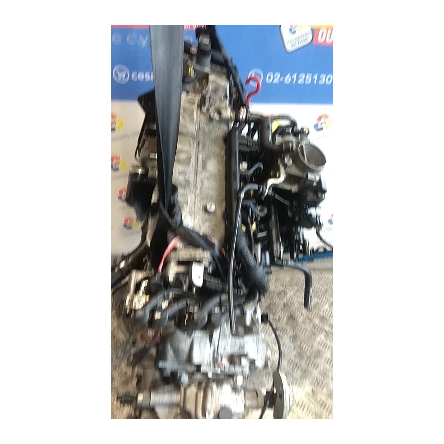 MOTORE COMPL. 056 FIAT 600 (1E) (07/05-12/11) 187A1000 71751088