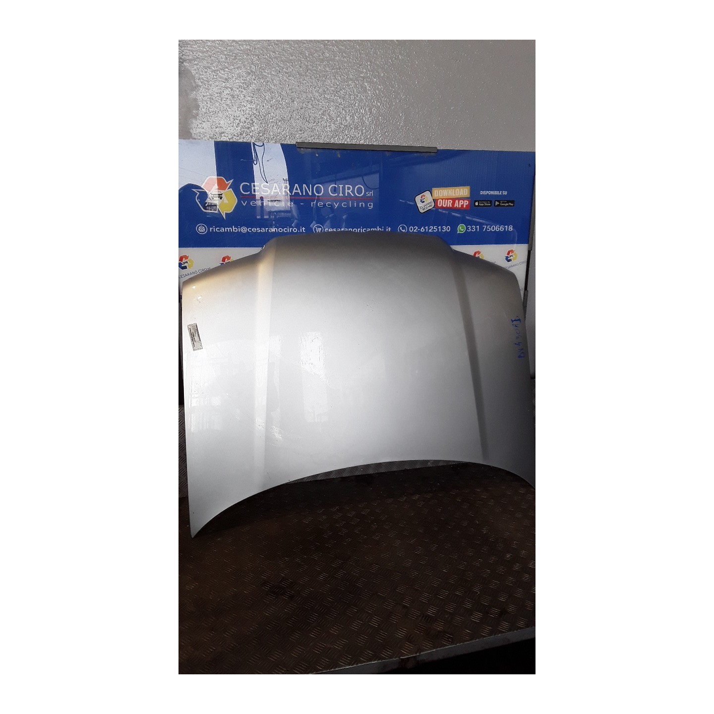 COFANO ANT. 024 VOLKSWAGEN BORA (1J) (03/99-02/06) AGZ 1J5823031B