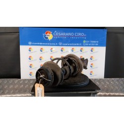AMMORTIZZATORE ANT. DX. 007 RENAULT CLIO 2A SERIE (05/01-11/10) D7FG7 8200662265