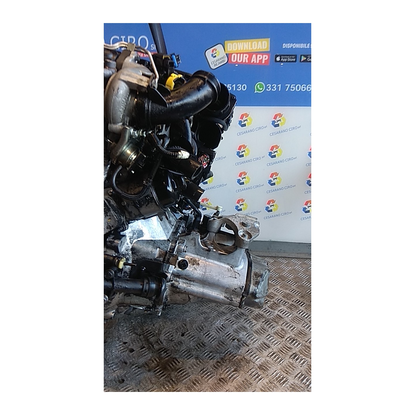 CAMBIO COMPL. CD 14X60 010 PEUGEOT 207 (06/09-) 8HR 223113