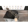AMMORTIZZATORE ANT. DX. 055 SUZUKI WAGON R+ (12/97-02/01) K10A 4160175F50000