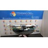 ALZACRISTALLO ELETTR. PORTA ANT. DX. 054 CITROEN C3 PICASSO (02/09-02/18) 8FS 9222FZ