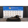 SEMIALBERO ANT. COMPL. SX. 019 LANCIA YPSILON (TK) (04/11-06/16) 169A4000 51902278