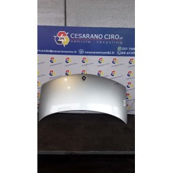 COFANO ANT. 087 RENAULT ESPACE 3A SERIE (03/06-) M9RC7 651000267R