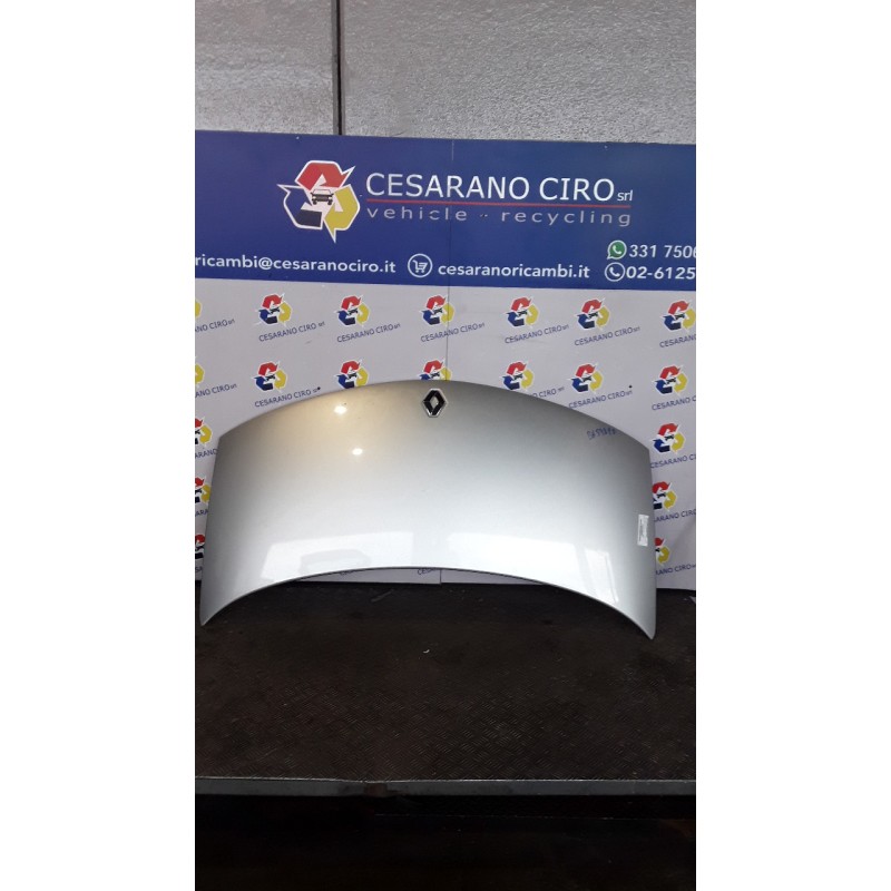 COFANO ANT. 087 RENAULT ESPACE 3A SERIE (03/06-) M9RC7 651000267R