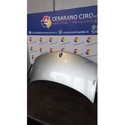 COFANO ANT. 087 RENAULT ESPACE 3A SERIE (03/06-) M9RC7 651000267R