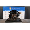MONTANTE SOSP. ANT. DX. 080 KIA SPORTAGE 5A SERIE PLUG-IN (02/ G4FT 51711N7000
