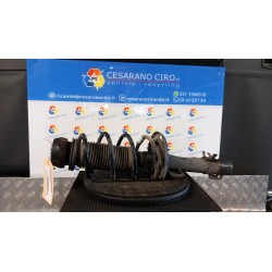 AMMORTIZZATORE ANT. CAMPO MOLL.36/37/38/53 SX. 053 VOLKSWAGEN POLO (6R) (05/09-10/14) CNK 6R0413031C