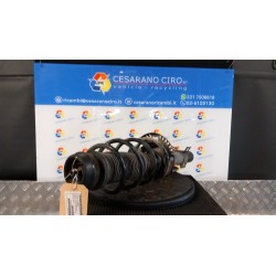 AMMORTIZZATORE ANT. CAMPO MOLL.36/37/38/53 SX. 053 VOLKSWAGEN POLO (6R) (05/09-10/14) CNK 6R0413031C