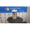 POMPA CARBURANTE C/TRASDUTTORE (GALLEGGIANTE) 053 FIAT PUNTO EVO (3J) (08/09-07/13) 199A4000 51868774