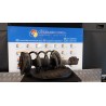 AMMORTIZZATORE ANT. SX. 074 RENAULT MODUS 1A SERIE (09/04-01/08) K4M37 8200675732